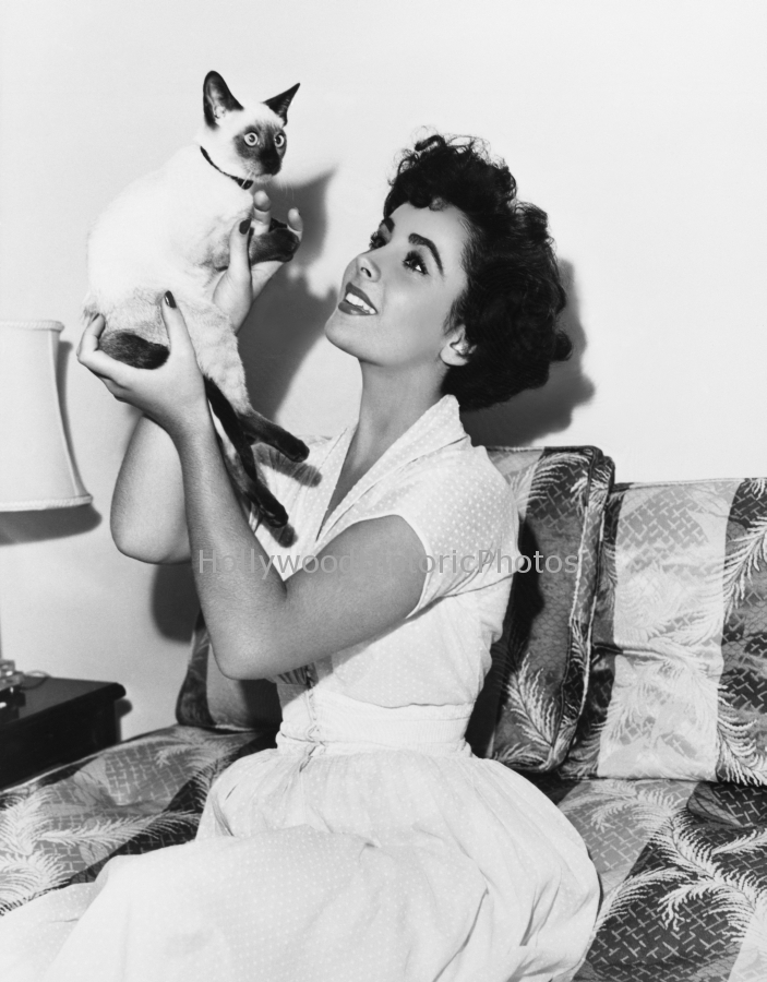 Elizabeth Taylor 1951 With her cat Beauty.jpg